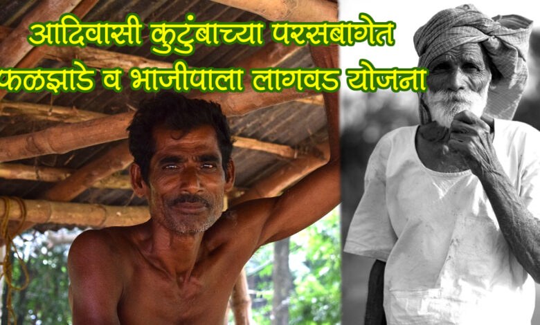 adivasi farmer fruit and vegetable farming