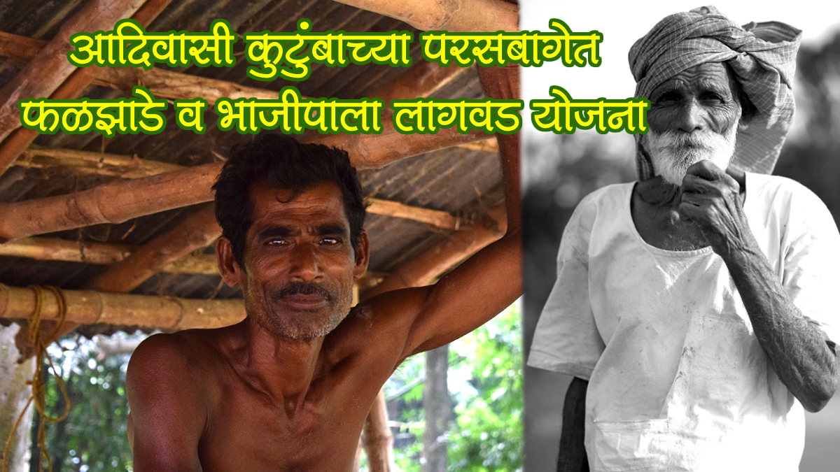 adivasi farmer fruit and vegetable farming